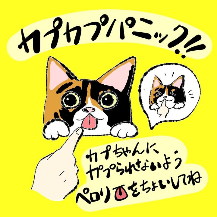 1bb2e47b 9de3 4a6f 98ff 420eb5ac1992 1661831112973