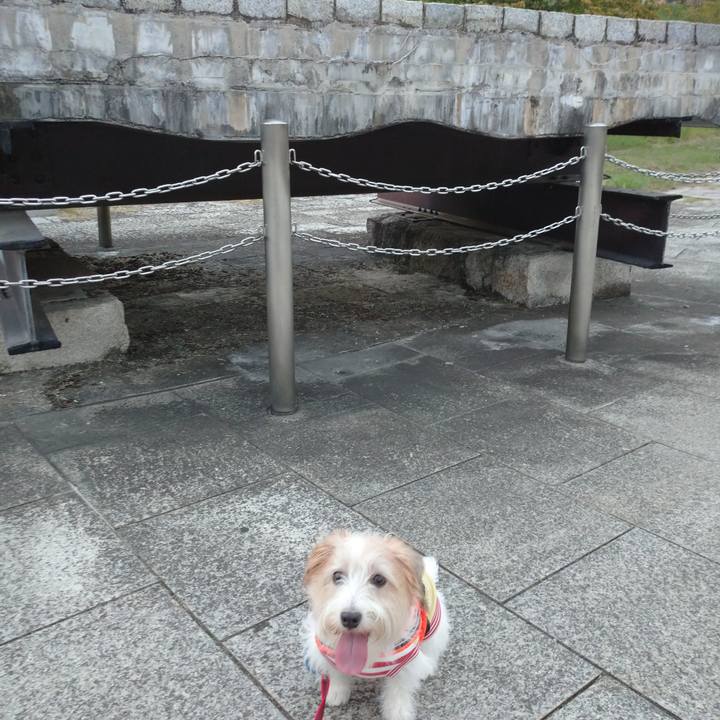 1bb306c0 fd42 43ec b0e6 c9ebab4b2bdb 1756545050453