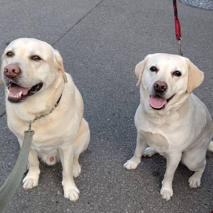 1bb31e2f 69e9 454e afb4 36558da77353 1648107868578