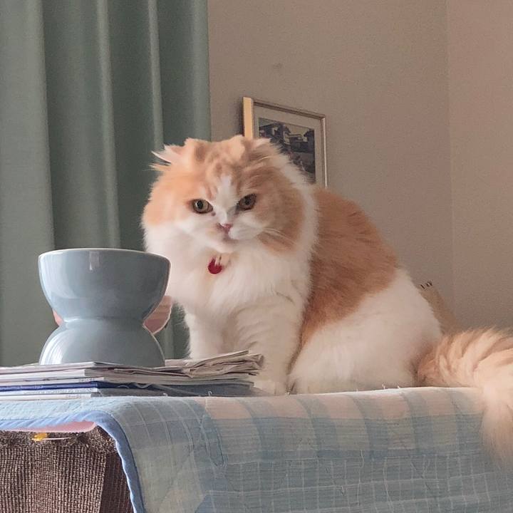 1bb37b0e 7994 4d94 b984 2cddcee9b30e 1601675881076