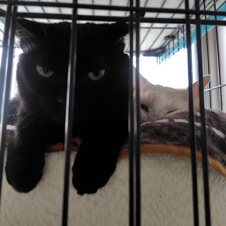 1bb380d5 a41d 49a7 bf95 088335422aa6 1728340483020