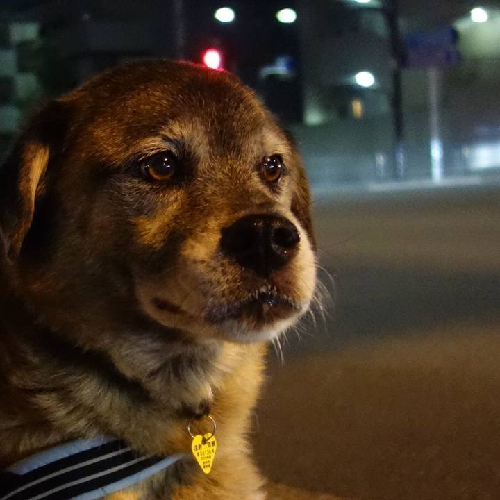 1bb38a43 c881 4bf9 8978 e17ff52f3d80 1568458969929