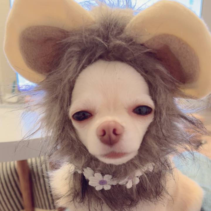 1bb3af56 a818 42eb bd1d 88173fcbec9d 1689163399931