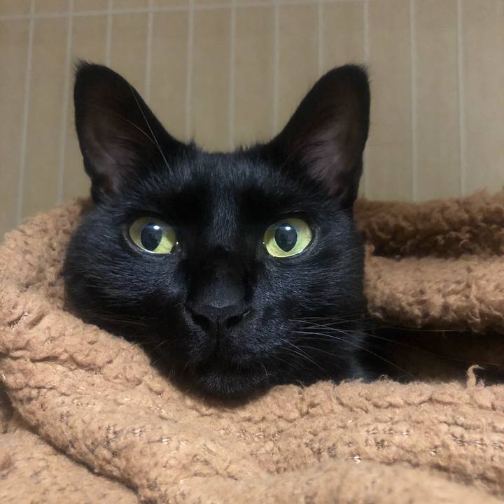 1bb3b34f d0a5 4458 b3fc 18ebeda21e11 1606921046226