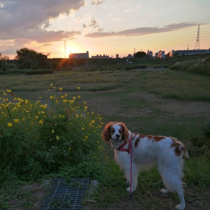 1bb40c7f 39e6 4173 8728 ccabb37167c1 1602667563692