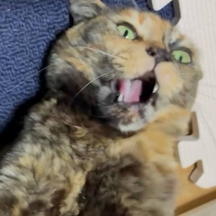 1bb4190c 5270 4ce1 89dd 5eedaef59240 1774039655263