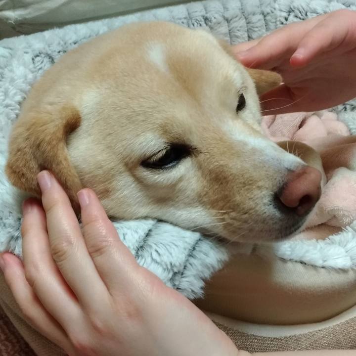 1bb45c97 ea4c 4d99 b8cc 79a44fc25290 1581686197596