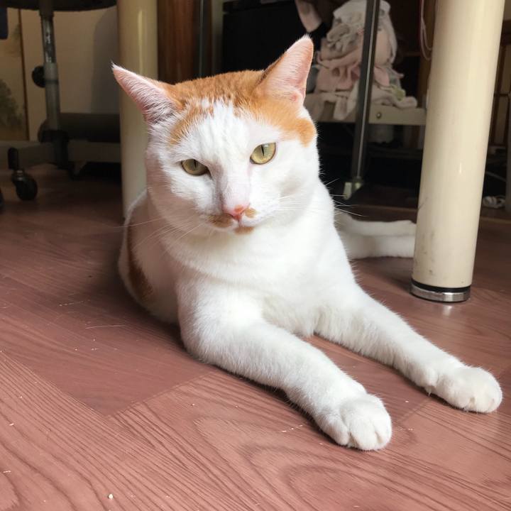 1bb47767 7aa6 490b 8410 ecbd0d5df903 1533373239548