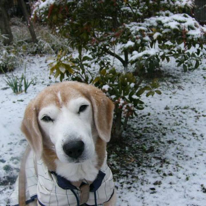 1bb4b130 51ea 4073 a274 90f023e634da 1675988977359