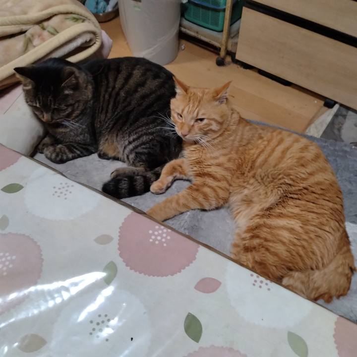 1bb4d431 c5de 48ac 9afd 05e76f70db3e 1671436735830