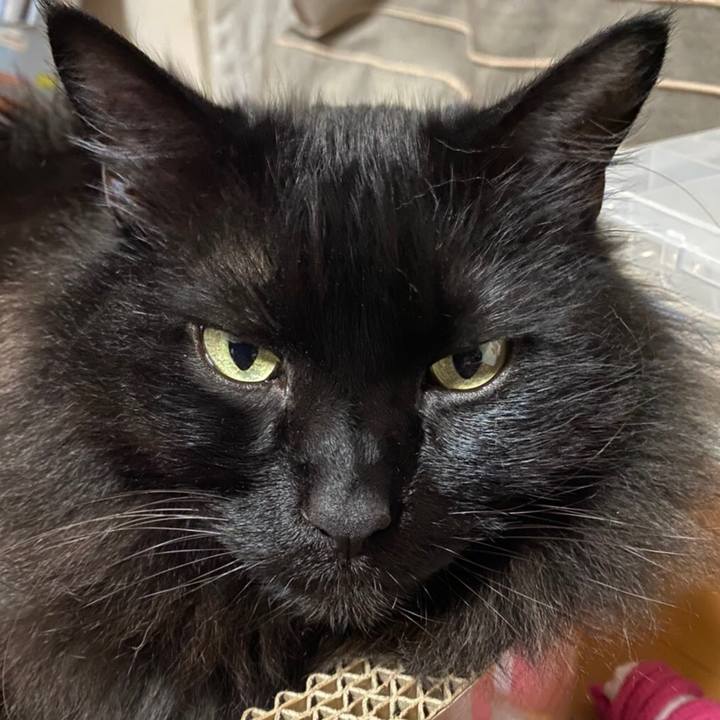 1bb4df6c 0487 4bb0 b1d1 05cf6eb9a3cf 1581953332096