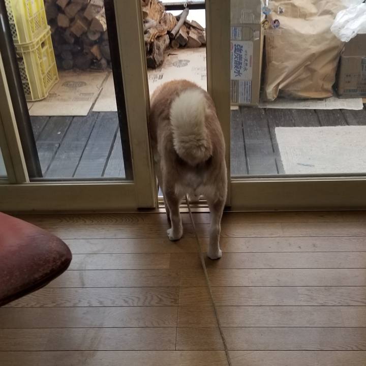 1bb52fa3 65e8 4f4e bf9a 2aea02dc5ccd 1707868174557