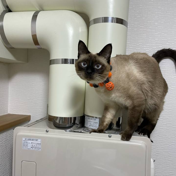 1bb533f8 25af 4d2a bf19 9c4abd65e367 1728417335612