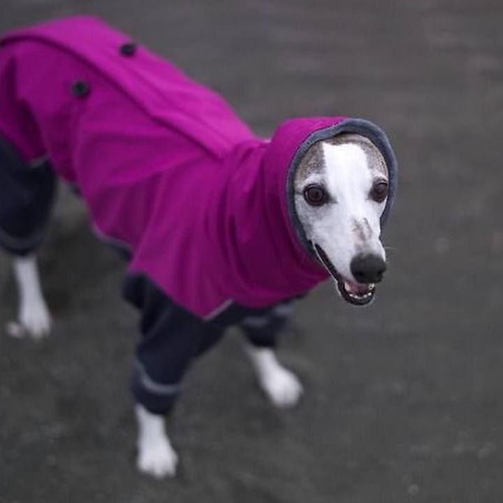 1bb53b93 3290 4175 87a4 34d389e0fe8e 1517578148177