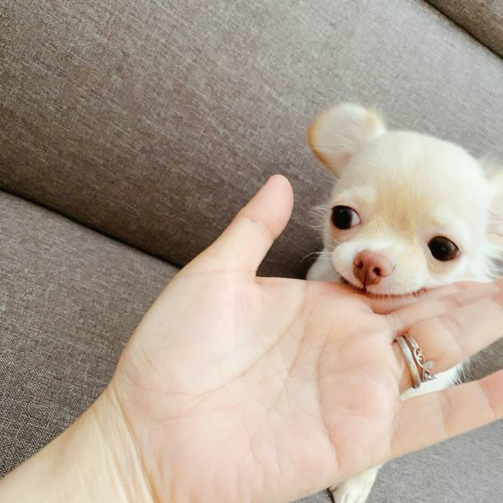 1bb56499 2bbc 4e0d 835a 9261e5349cd7 1591327365788