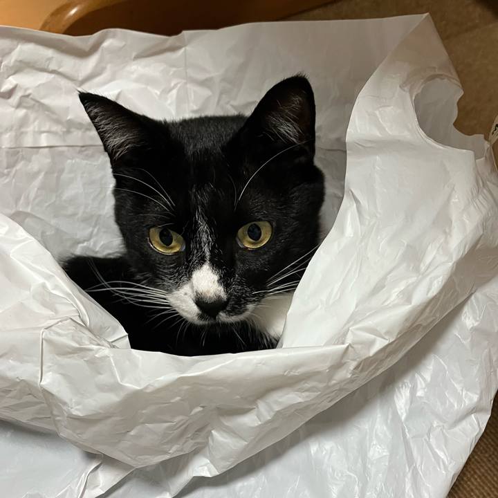 1bb63973 faa9 4ec1 a868 e66dc13de8b9 1666841935428