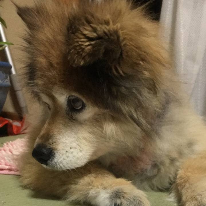 1bb66194 f54f 481a 9fe8 1308b12d1f7b 1631254581440