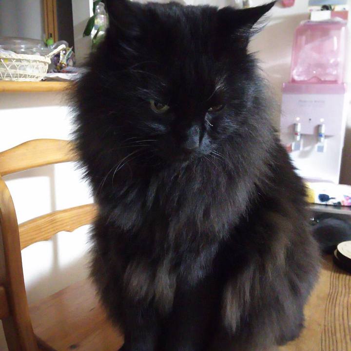 1bb6681e ece5 46f9 ba39 4b1ad13b9a56 1547898175964