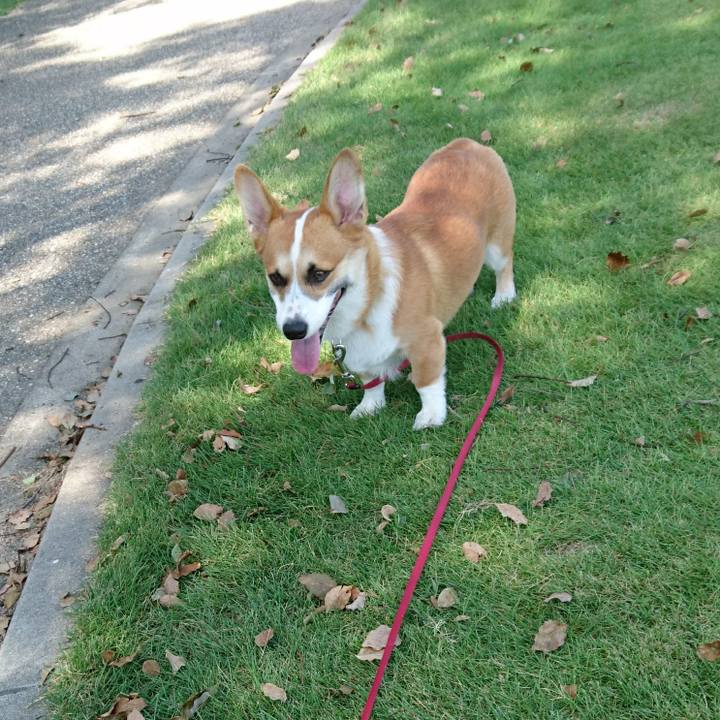 1bb67557 5a4b 42de be7e 30bb90d1eae7 1568973594754