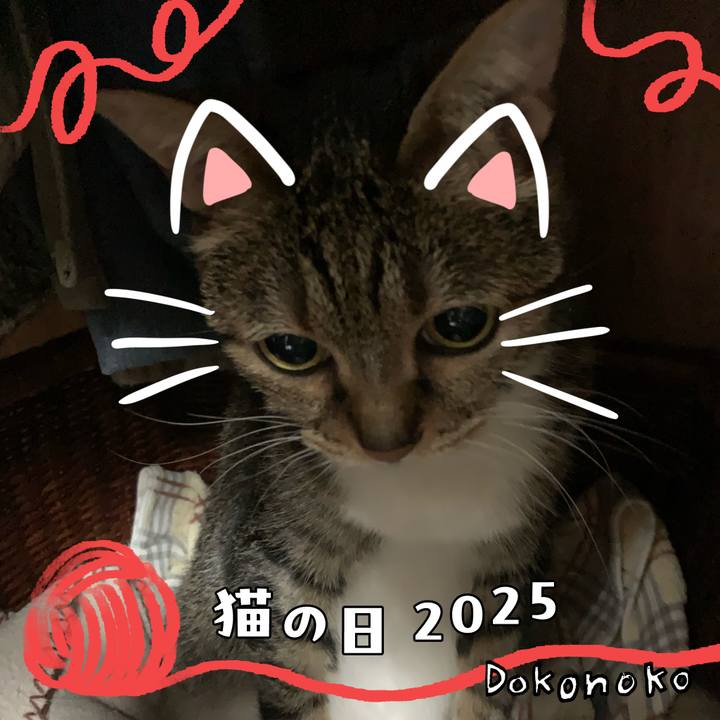 1bb6b193 9dab 4c57 aaa3 22f2f07db6db 1740526491997
