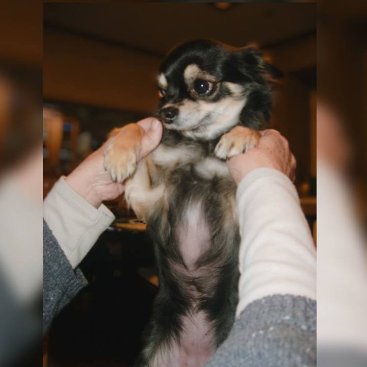 1bb6b689 c10d 4bbf b141 3f0c11dc986d 1608591068063