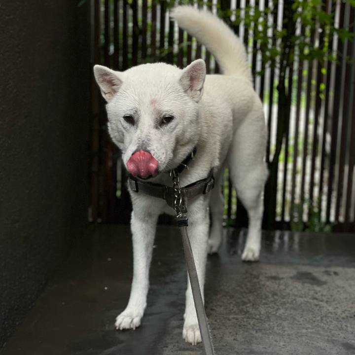 1bb6ee95 6190 4d27 bb6b 5fdebd815795 1685504148835