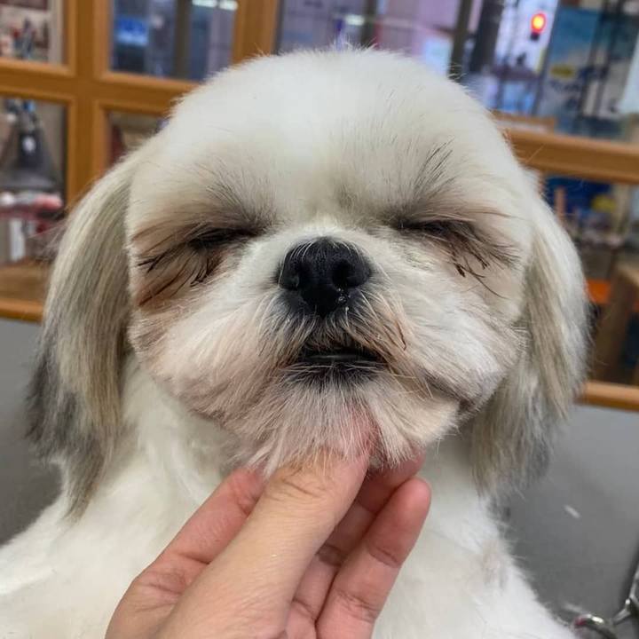 1bb72013 32a8 43c5 9cdc 226c5fdf8680 1618399490924