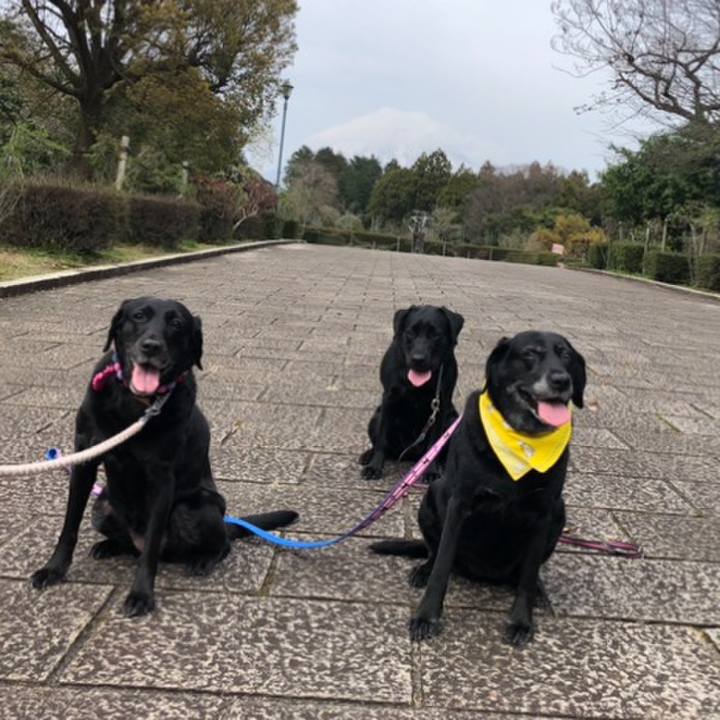 1bb7300b c0ea 41f0 9bdf a23944fff3dd 1584890832687