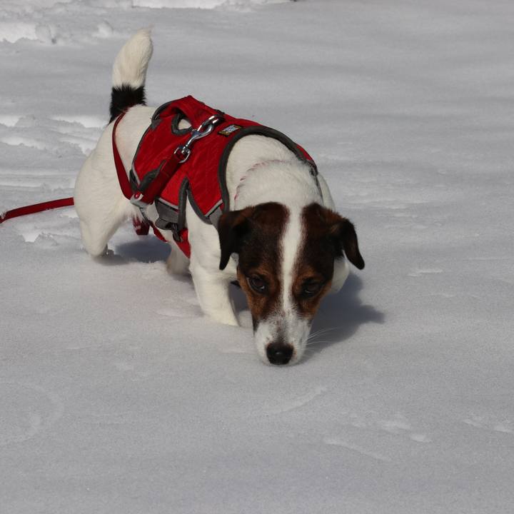 1bb739db 9299 45b0 8909 5d28bef851c6 1517634617988