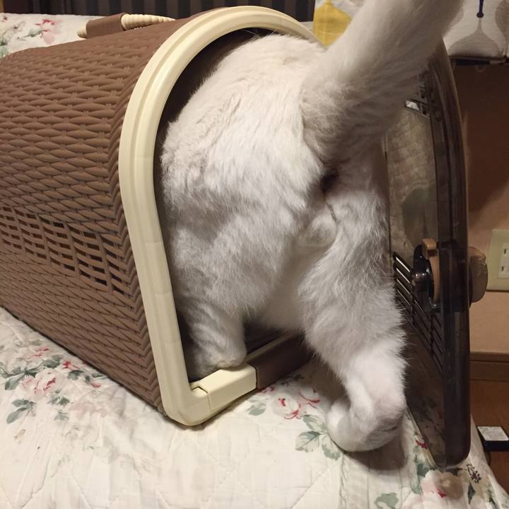 1bb7610b 373a 40d4 9ecb c3b0ceef0576 1568715435038