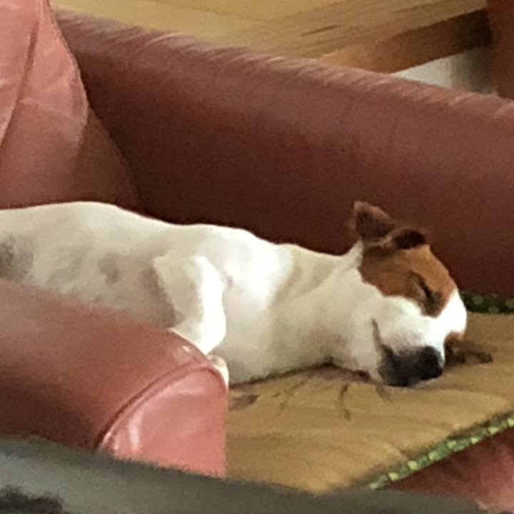 1bb7848d fdab 4356 9e4d c68b83c7e13c 1597305564077