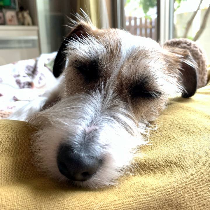 1bb793de 7d0c 435c b94b 46e2cd566de5 1650716655035