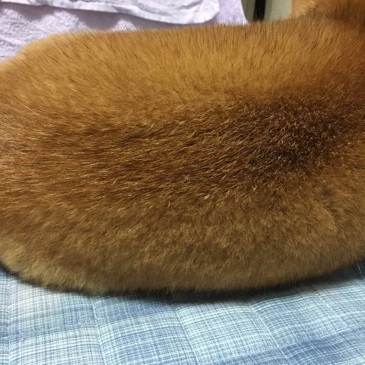 1bb7a02e b0d0 4386 b6c7 78ff0fda0e10 1509285183269