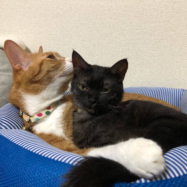 1bb7f2d5 c8e2 4746 a50c 0012893a946d 1629247891913