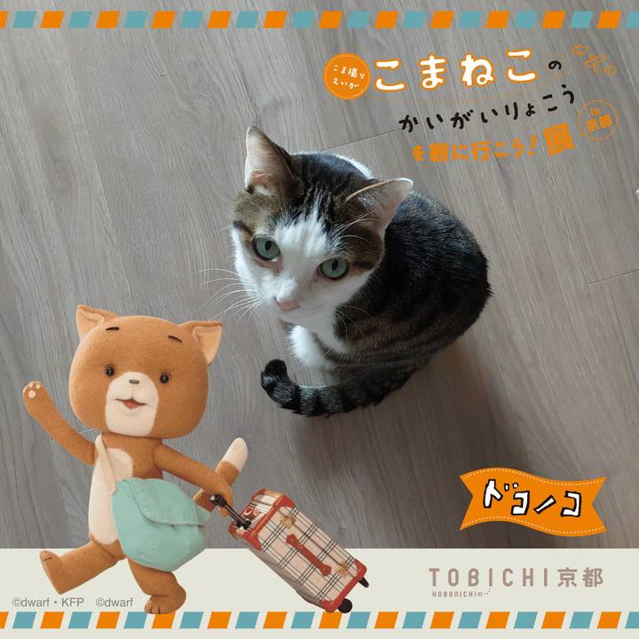 1bb81839 b316 4d8f 8dd7 94b4cddb7b38 1740293251997