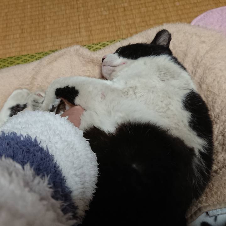 1bb81877 a647 46f3 b16f e7041fef64f0 1610268918707