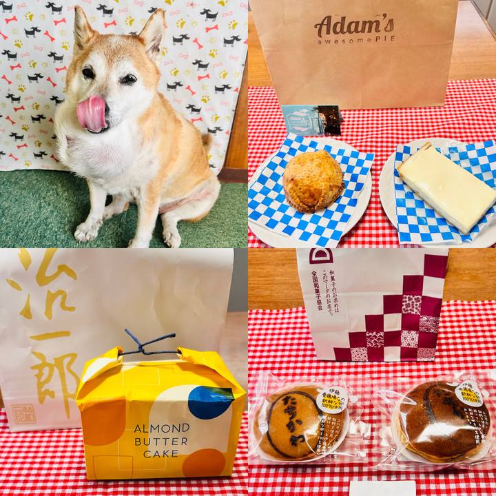 1bb83093 fccc 4f2c a68a 637c7a5999dd 1759478214891