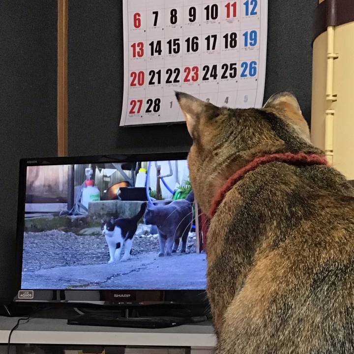 1bb84374 9625 4587 8215 23a4c7faf032 1644378689610