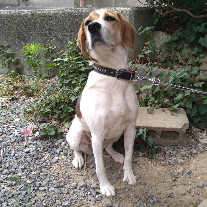 1bb866c8 3897 47e2 867d acd1a7ef4331 1657371410217