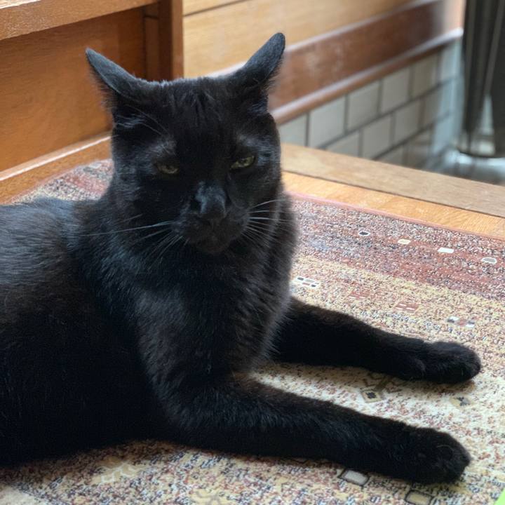 1bb8850f 54a5 4e67 93b1 470b73ca0532 1563583704120