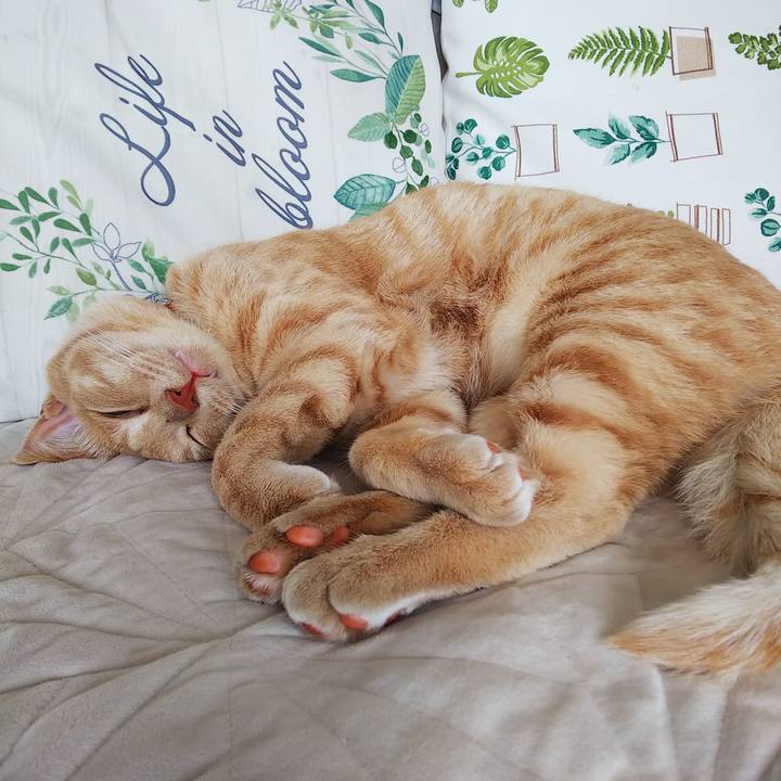 1bb8dfcb d05f 42a9 a6b5 058504f399e0 1560573449069