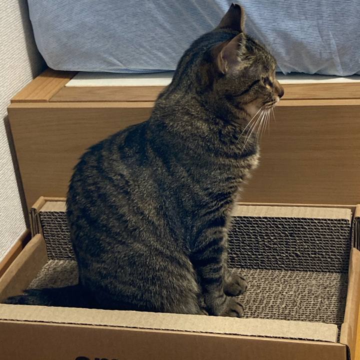 1bb8e234 9e80 421b b2e5 8d0ca3226e79 1626511306028