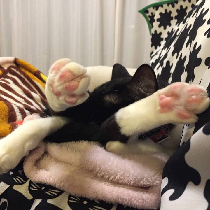 1bb8fe63 65b4 463f a1ee 36b5843284fe 1519224823202