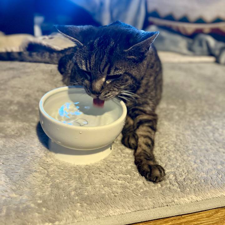 1bb92bce 0308 417b b05e b5ad8b389fa0 1765280611982