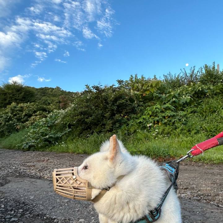 1bb990af 8287 49ec 8f99 b78d648a7179 1757452468431