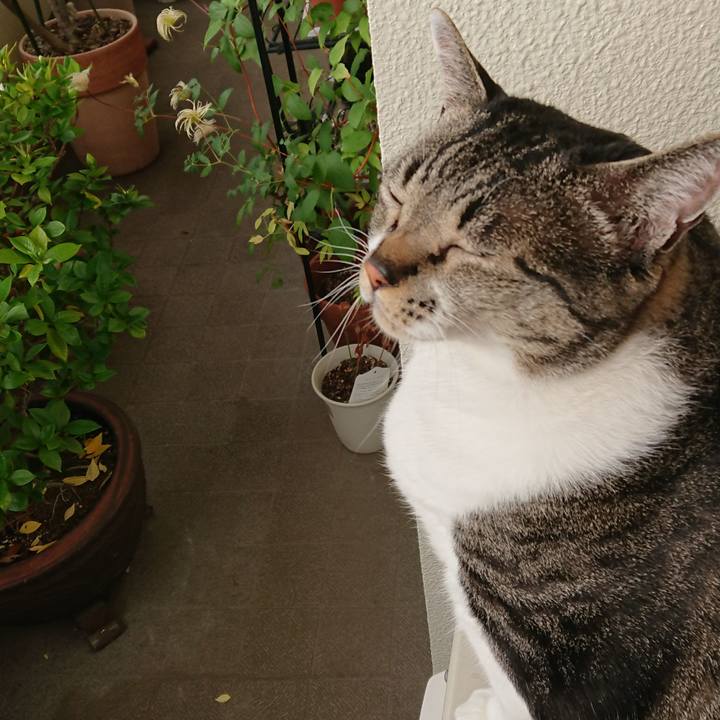 1bb998ab f027 437e a230 2bd618af593c 1562539704462