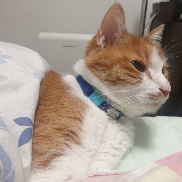 1bb99c29 5828 4613 8d5b 0853268e2c57 1650665171320