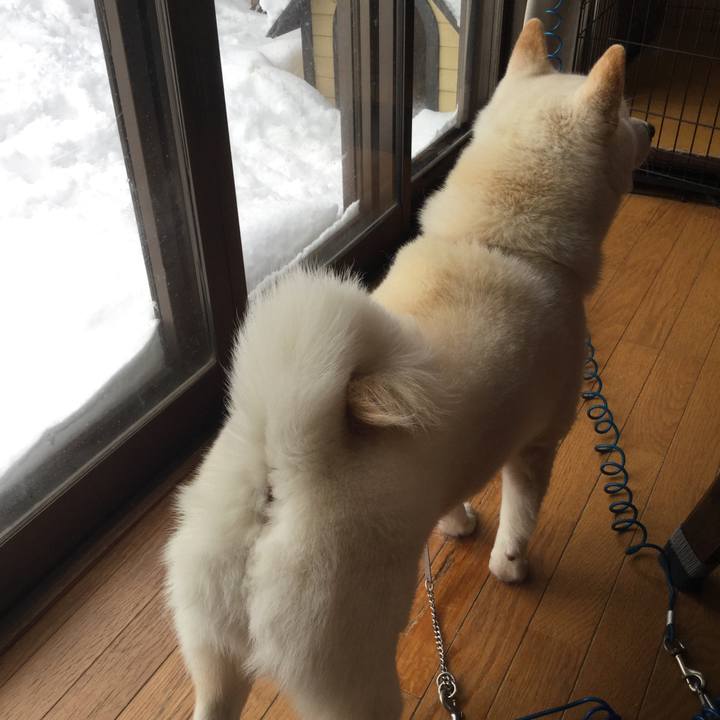 1bb9b591 96be 4ada a0e9 49e0225b2ce6 1546041930937