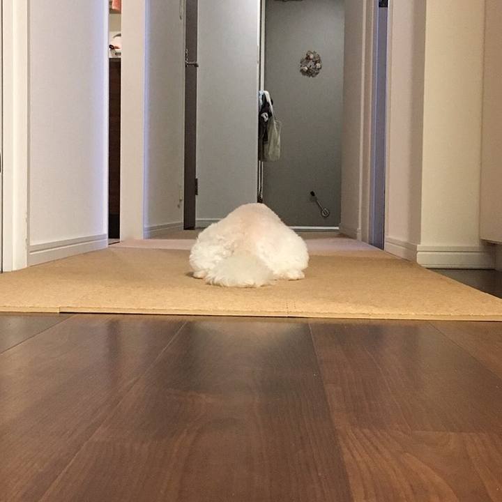 1bb9ba44 9d6b 4abf 9f08 d50bb4cf0d28 1586925978747