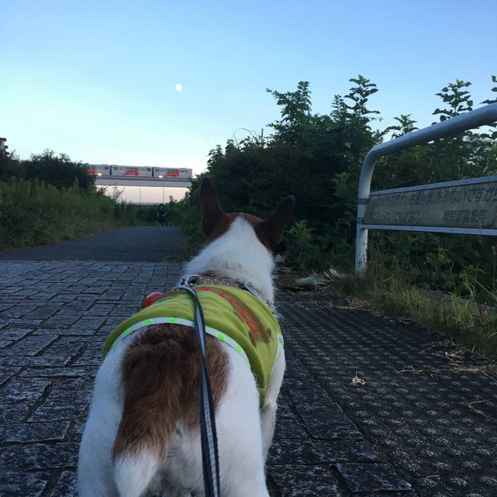 1bb9bd86 96df 424a be90 fa9d46d468ea 1598830138291